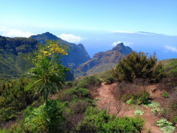 Tenerife: Hiking Above the Village of Masca - Frequently Asked Questions