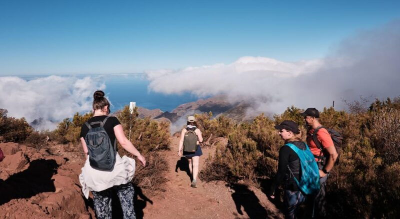 Tenerife: Hiking Tour Above Masca & Enchanted Forest - Good To Know
