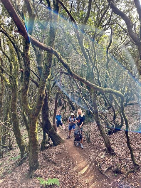 Tenerife: Hiking Tour Above Masca & Enchanted Forest - Duration and Distance