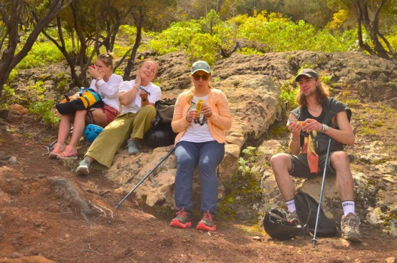 Tenerife: Hiking Tour in Anaga Mountains & Enchanted Forest - Highlights of the Itinerary