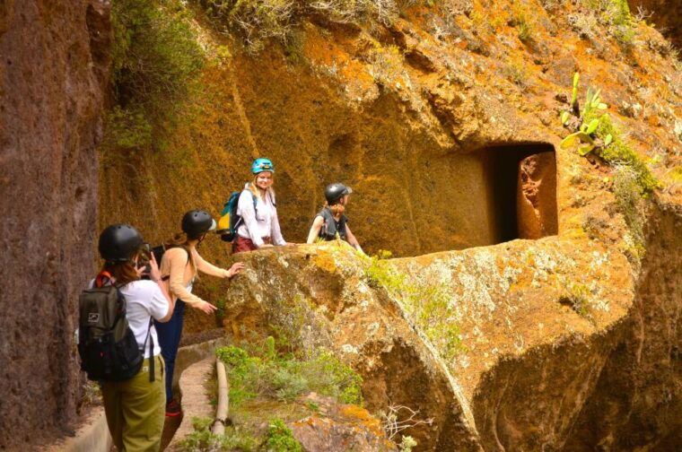 Tenerife: Hiking Tour in Anaga Mountains & Enchanted Forest - Customer Ratings and Reviews