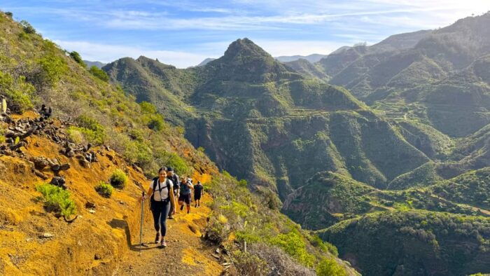Tenerife: Hiking Tour in Anaga Mountains & Enchanted Forest - Guide Expertise and Safety