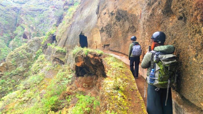 Tenerife: Hiking Tour in Anaga Mountains & Enchanted Forest - Scenic Views and Unique Landscapes