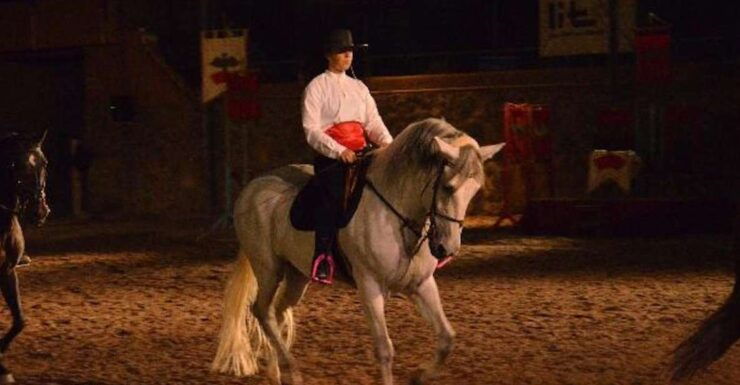 Tenerife : Horse Show Entry Ticket With Optional Dinner - Ticket Details