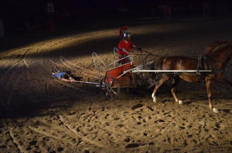 Tenerife : Horse Show Entry Ticket With Optional Dinner - Experience Highlights