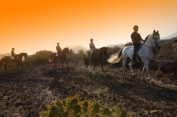 Tenerife: Horseback Ride With Instructor - Experiencing Tenerifes Coastal Beauty