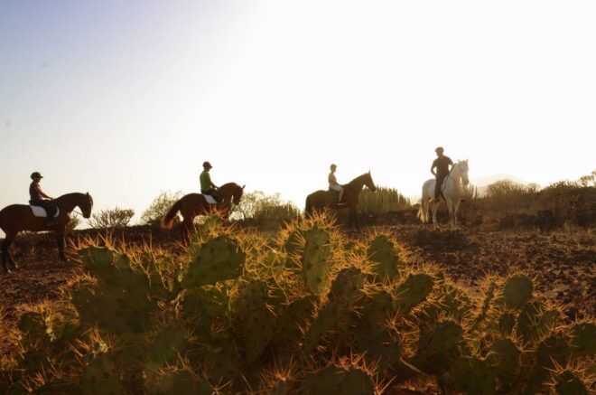 Tenerife: Horseback Ride With Instructor - Inclusions and Restrictions