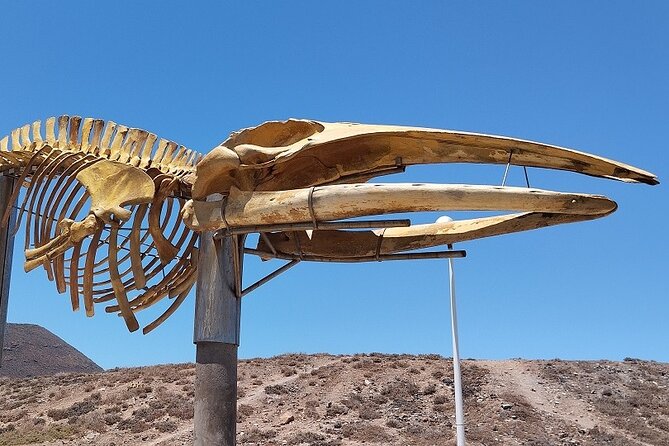 Tenerife Island Exploration Smartguide - Tenerife Island Smartguide Features