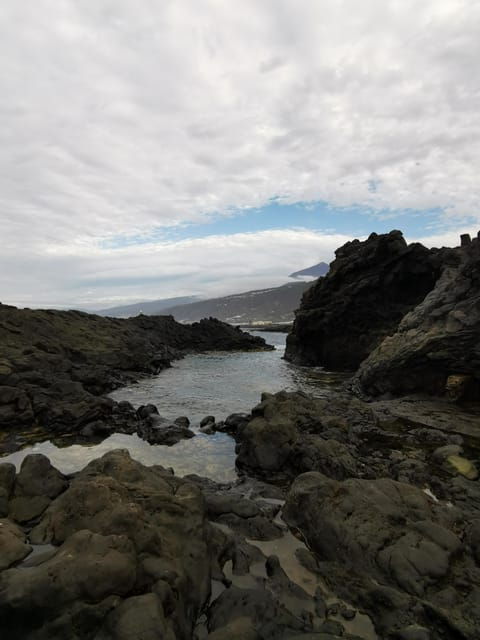 Tenerife Island, The Best Day Tour FOR CRUISE PASSENGERS - Itinerary Highlights