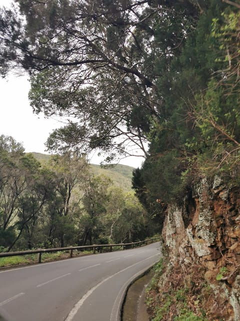 Tenerife Island, The Best Day Tour FOR CRUISE PASSENGERS - The Sum Up