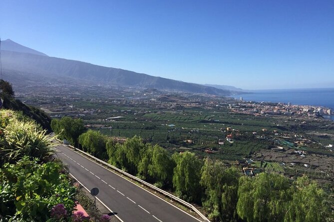 Tenerife Island Tour: Los Gigantes, Icod De Los Vinos & La Orotava - Tour Highlights