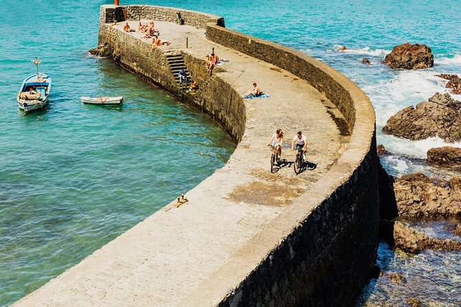 Tenerife Island Tour: Los Gigantes, Icod De Los Vinos & La Orotava - Common Questions