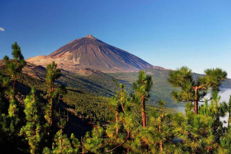 Tenerife: Jet Ski Tour With Option for Quad Trip - Quad Tour Experience