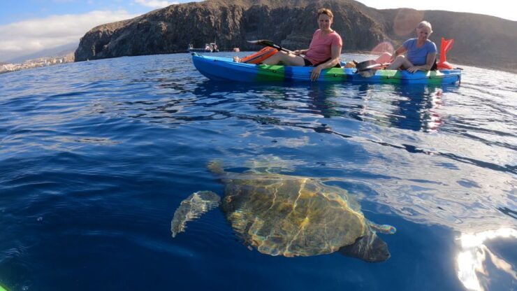Tenerife: Kayak and Snorkel With Turtles - Activity Details