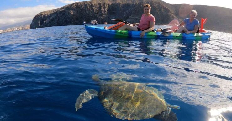 Tenerife: Kayak and Snorkel With Turtles - Booking and Flexibility
