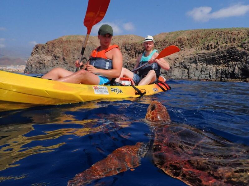 Tenerife: Kayak and Snorkel With Turtles, Wetsuits Included - Experience Highlights