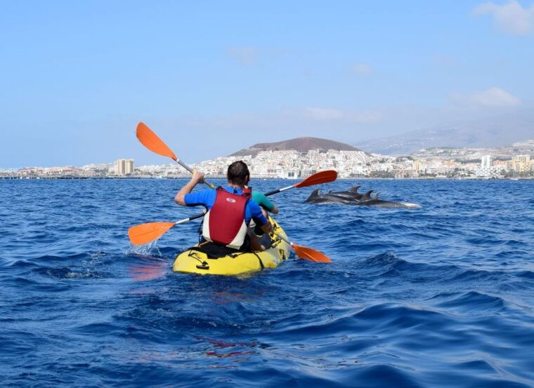 Tenerife: Kayak and Snorkel With Turtles, Wetsuits Included - Customer Reviews and Ratings