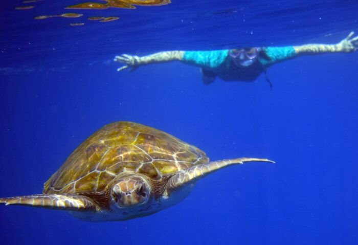 Tenerife: Kayak and Snorkel With Turtles, Wetsuits Included - Exploring the Cueva De Los Enamorados