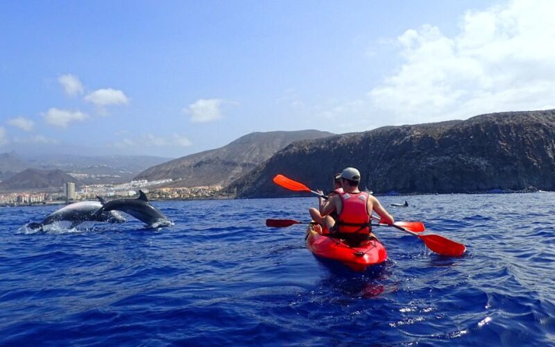 Tenerife: Kayak and Snorkel with Turtles with Free Videos - The Experience: What Travelers Are Saying