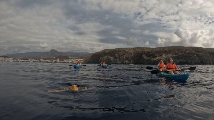 Tenerife: Kayak and Snorkeling Tour With Photos - Gear and Safety Considerations