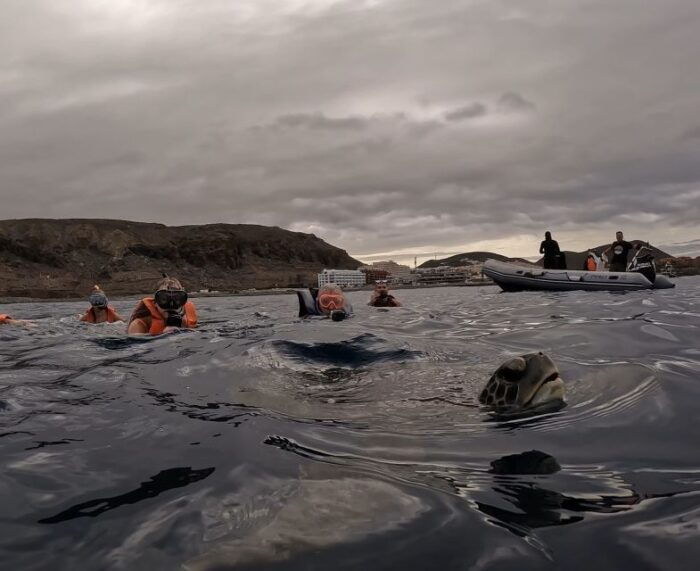 Tenerife: Kayak and Snorkeling Tour With Photos - Frequently Asked Questions