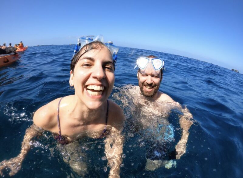 Tenerife: Kayak Safari and Sea Turtle Snorkeling - FAQ