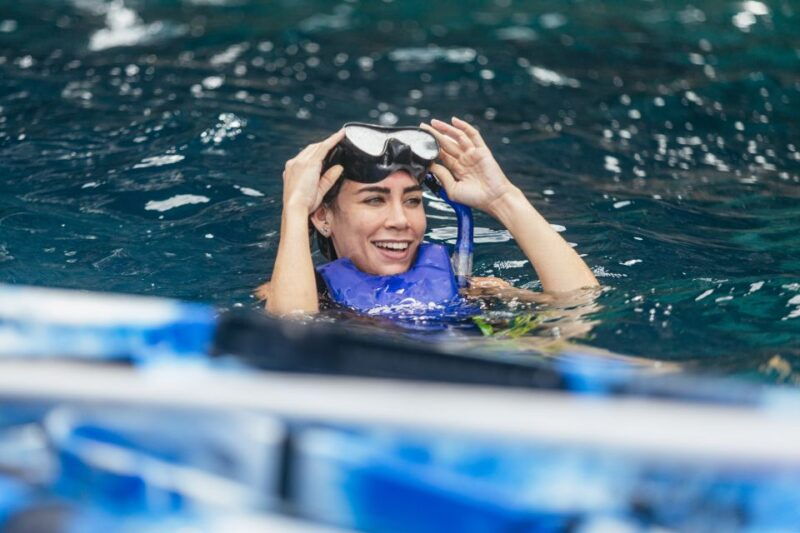 Tenerife: Kayak Safari and Sea Turtle Snorkeling With Photos - Good To Know