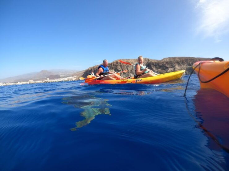 Tenerife: Kayak Safari With Snorkeling, All Inclusive - Activity Details
