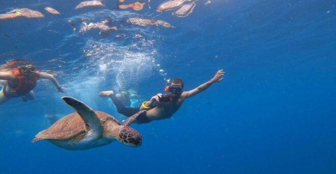 Tenerife: Kayak Safari With Snorkeling, All Inclusive - Full Description