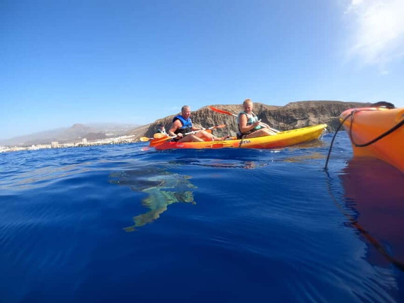 Tenerife: Kayak Sea Safari with Snorkel and Snacks - Who Will Love This Tour?  