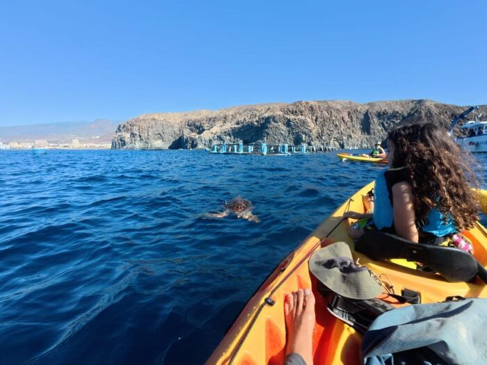 Tenerife: Kayak & Snorkel, Snacks, Photos & Sea Life Safari - Frequently Asked Questions