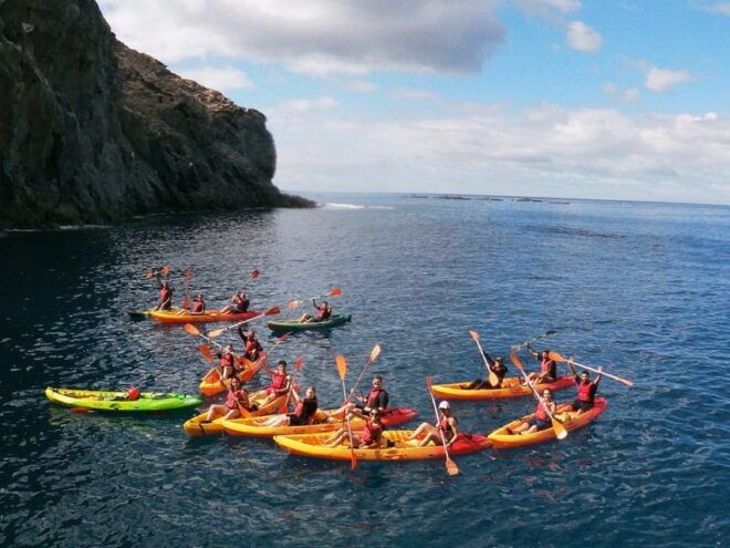 Tenerife: Kayak & Snorkeling, Marine Fauna Watching - Meeting Point and Requirements