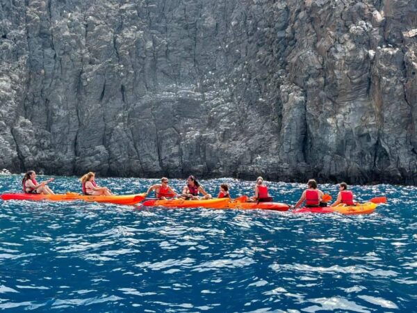 Tenerife: Kayak & Snorkeling, Marine Fauna Watching - Recommended Attire