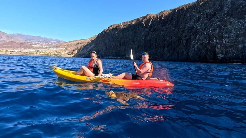 Tenerife: Kayak & Snorkeling Tour - Small Groups - Who Is This Tour Perfect For?