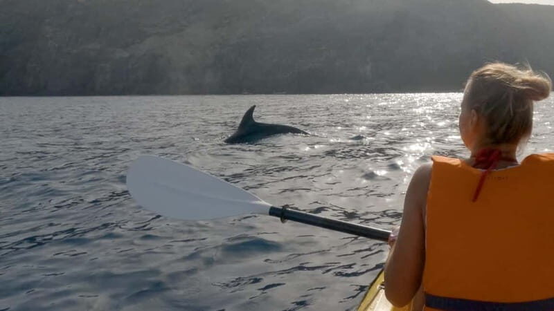 Tenerife: Kayak & Snorkeling Tour - Small Groups - Practical Tips for Your Trip