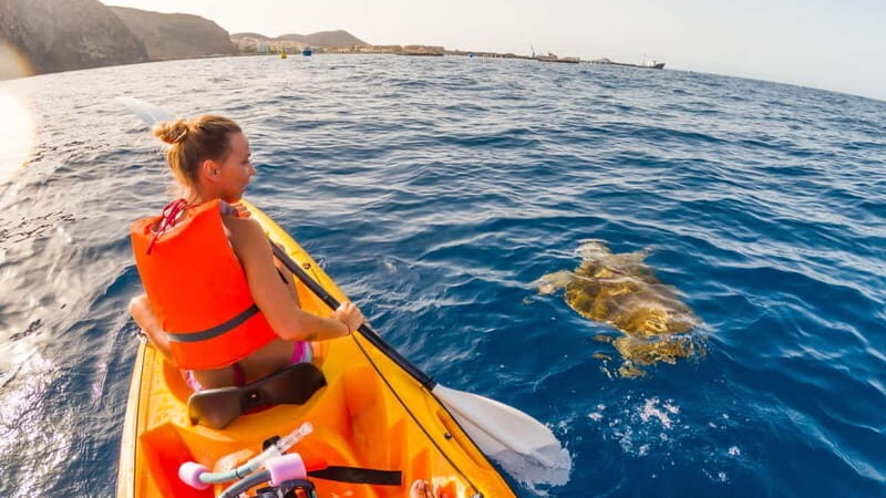 Tenerife: Kayak & Snorkeling Tour - Small Groups - FAQ
