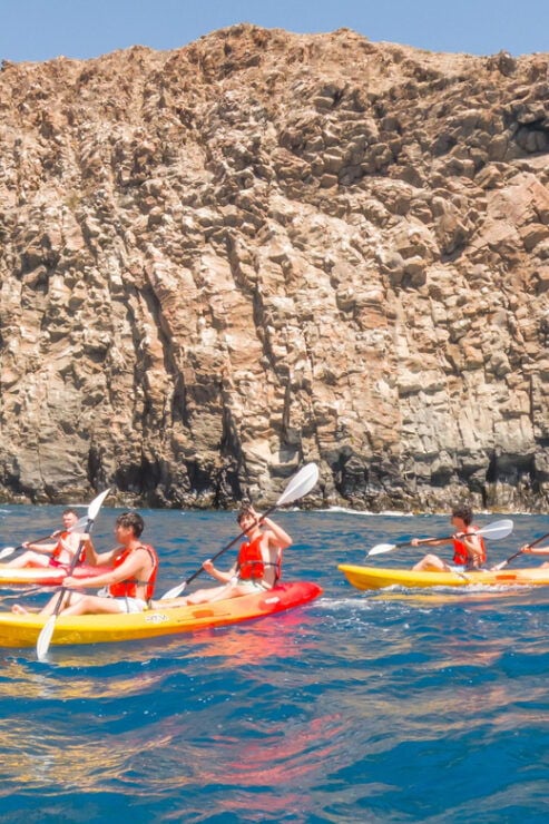 Tenerife: Kayak & Snorkeling Tour - Small Groups - Group Size and Languages