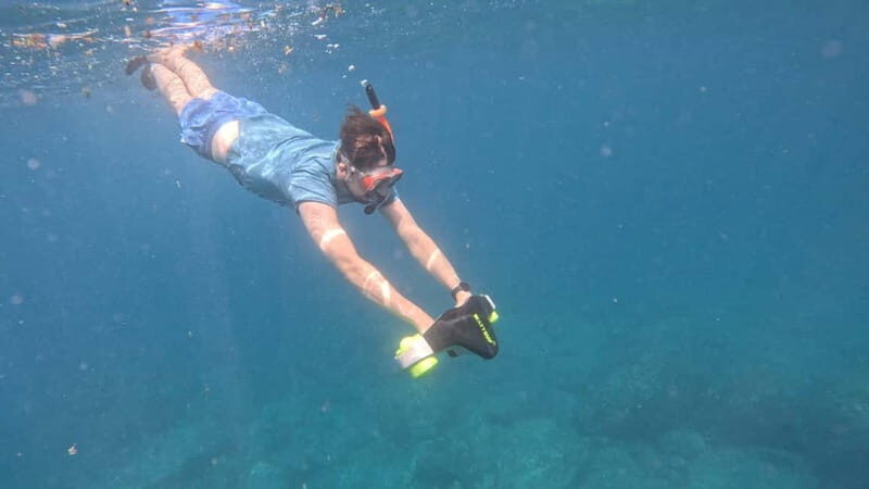 Tenerife: kayak tour with animals and underwater scooters - A Deep Dive into the Experience