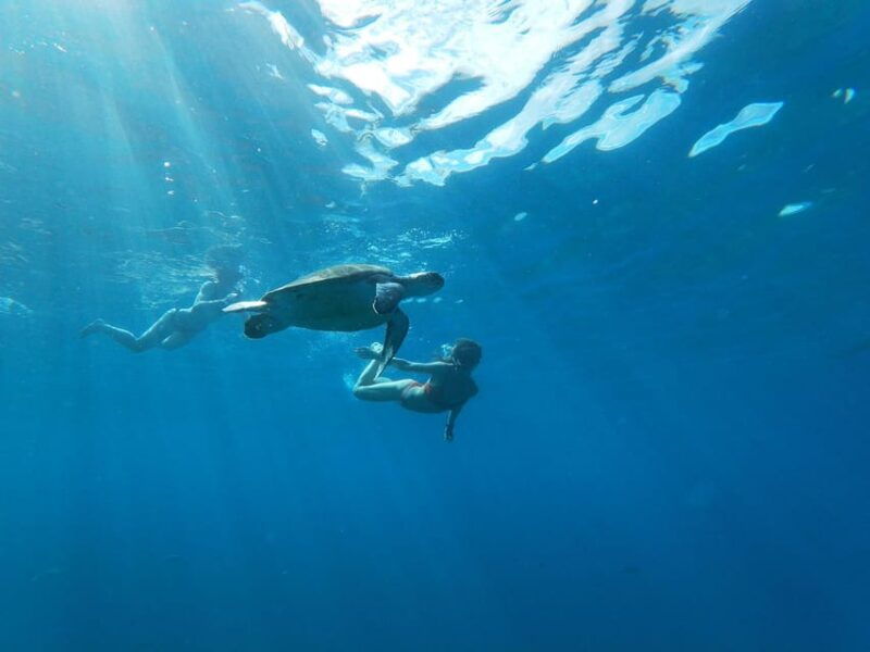 Tenerife: Kayaking and Snorkeling for Groups and Families - Cancellation Policy and Flexibility