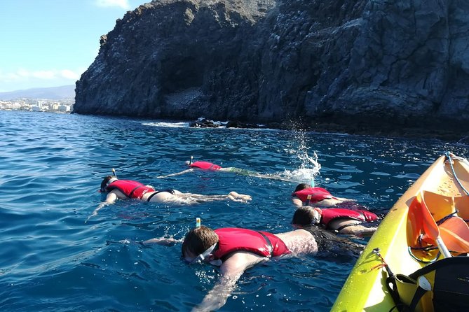 Tenerife Kayaking and Snorkeling Trip With Turtle Spotting - Reviews and Recommendations