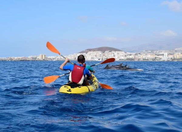 Tenerife: Kayaking and Snorkeling With Turtles - The Sum Up