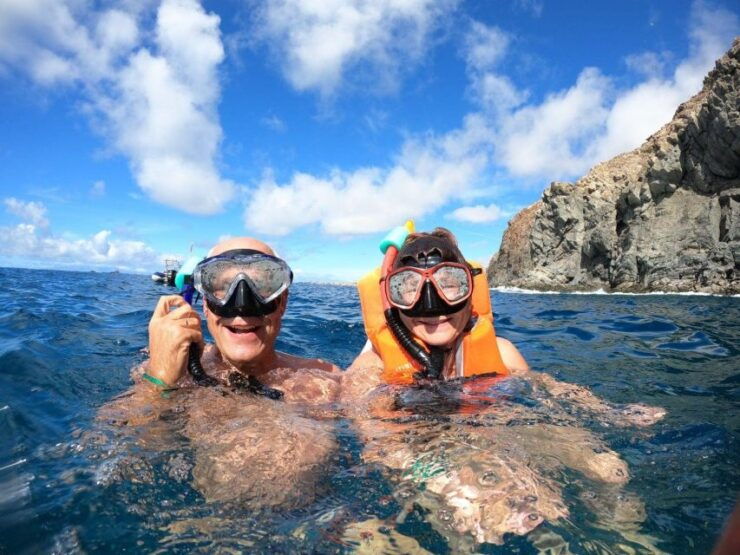 Tenerife: Kayaking Tour With Snorkeling - Good To Know