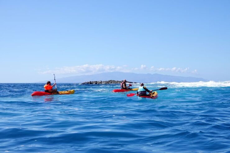 Tenerife: La Caleta Kayak Rental - Experience Highlights