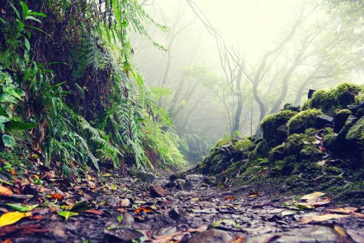 Tenerife: La Laguna & Anaga Hike - Pickup Locations