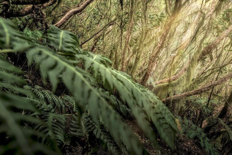 Tenerife: Landscape Photography, Coaching Workshops 5 Hrs. - What to Bring and Important Information