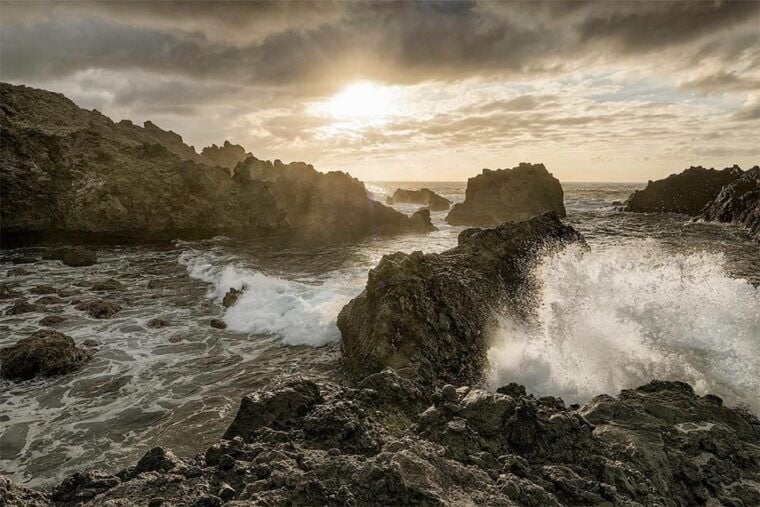 Tenerife: Landscape Photography Workshops, 10 Hrs. - Anaga | Lorbeerwald