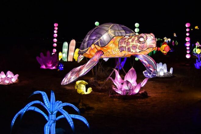 Tenerife: Light Park Tenerife Ticket - Full Description