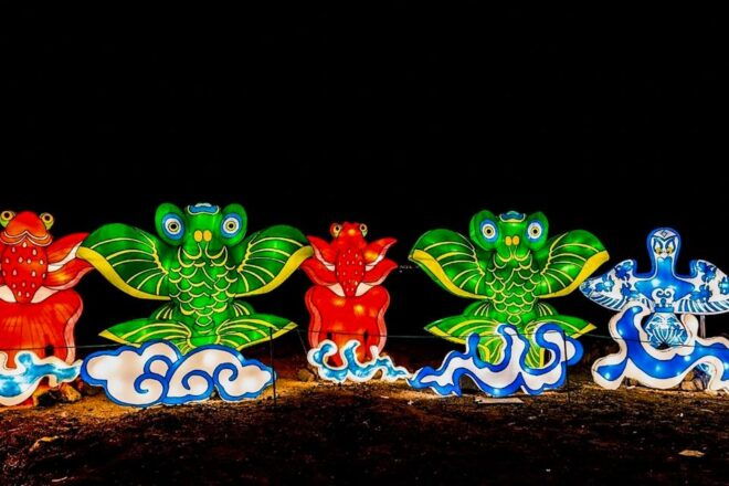 Tenerife: Light Park Tenerife Ticket - Inclusions