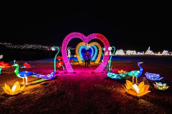 Tenerife: Light Park Tenerife Ticket - Reviews