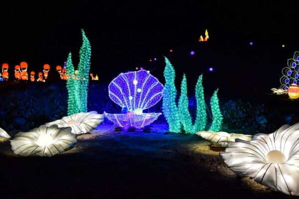 Tenerife: Light Park Tenerife Ticket - Common Questions